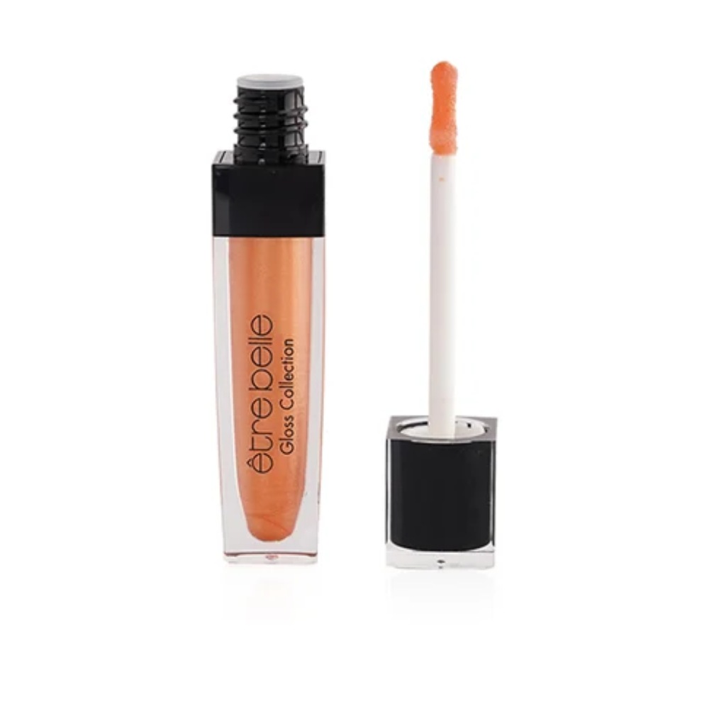 ETRE BELLE COLOR ELIXIER GLOSS Nº42