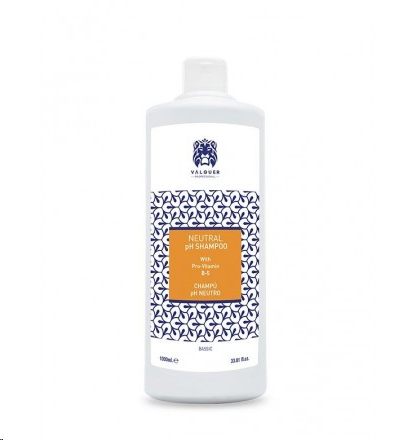 VALQUER CHAMPU PH NEUTRO 1000 ML