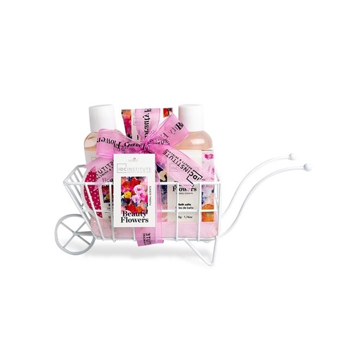 IDC INS.BEAUTY FLOWERS 5 PCS WHEELBARROW